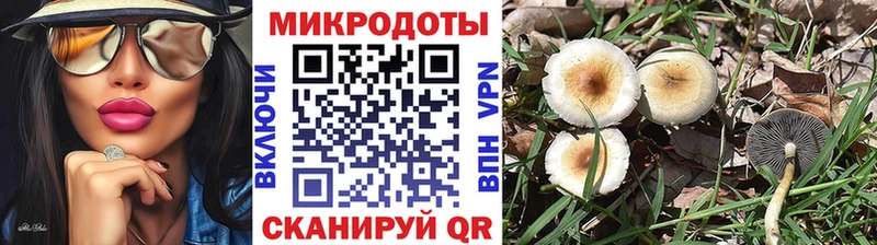 Галлюциногенные грибы мухоморы сайты даркнета какой сайт Купино дарнет шоп kraken маркетплейс