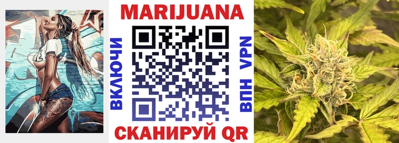 Конопля SATIVA & INDICA  где найти наркотики  Купино 